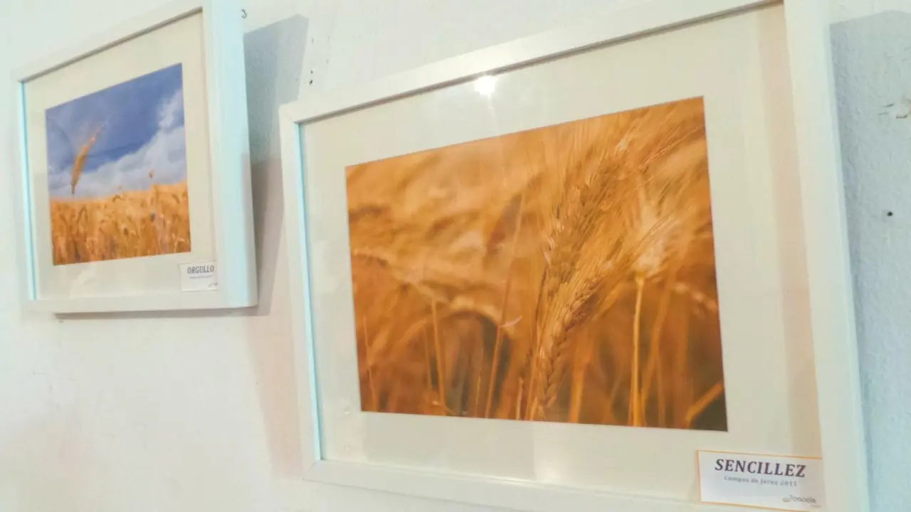 Exposici&oacute;n NATURA