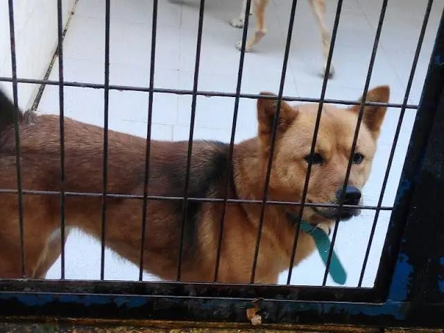 Imagen de Inma Iba&ntilde;ez