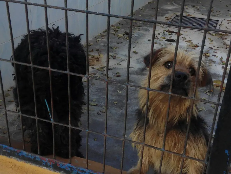 Imagen de Inma Iba&ntilde;ez