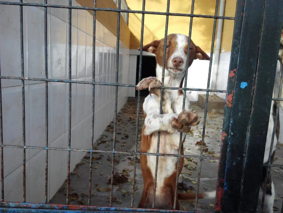 Imagen de Inma Iba&ntilde;ez