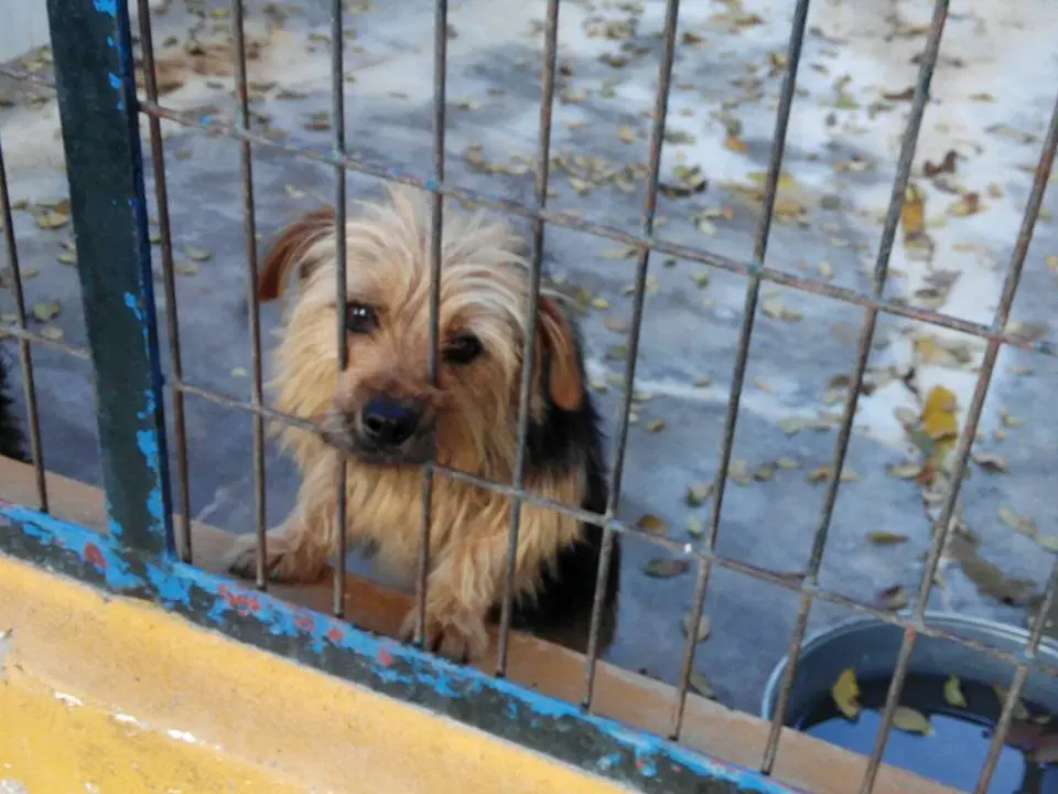 Imagen de Inma Iba&ntilde;ez