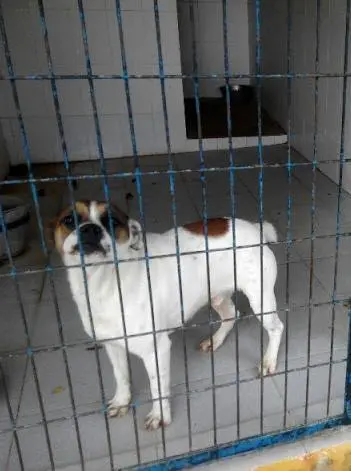 Imagen de Inma Iba&ntilde;ez