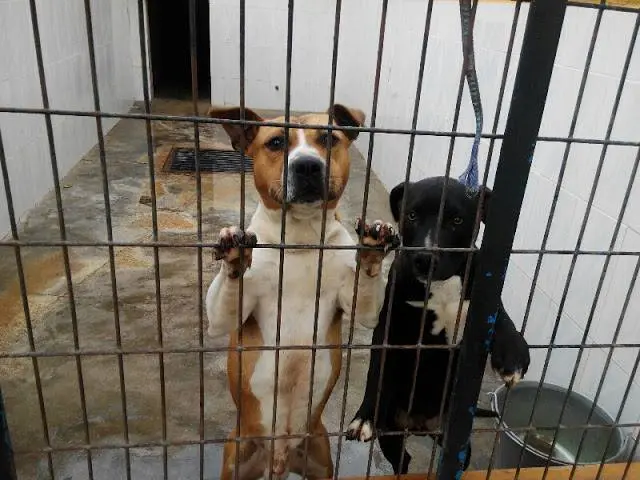 Imagen de Inma Iba&ntilde;ez