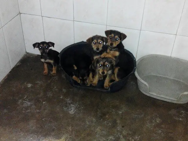 Imagen de Inma Iba&ntilde;ez