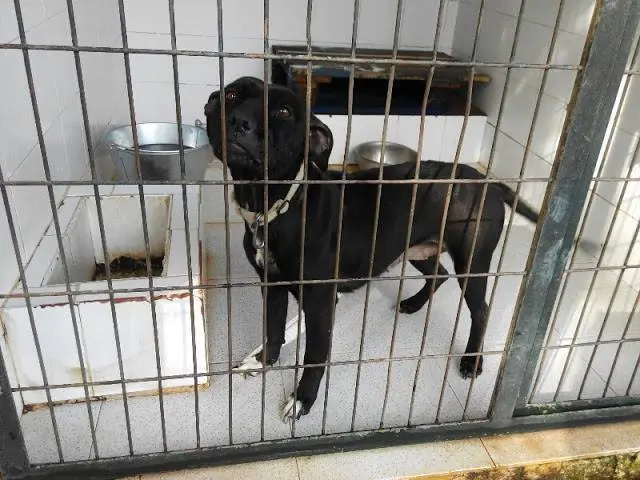 Imagen de Inma Iba&ntilde;ez