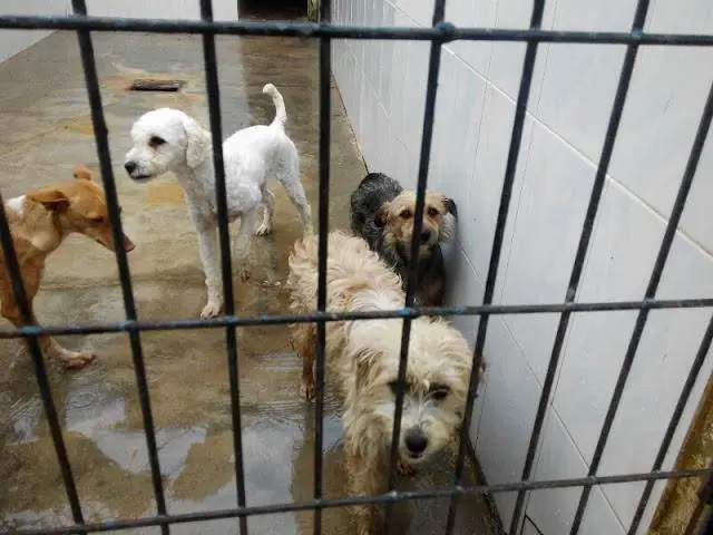 Imagen de Inma Iba&ntilde;ez