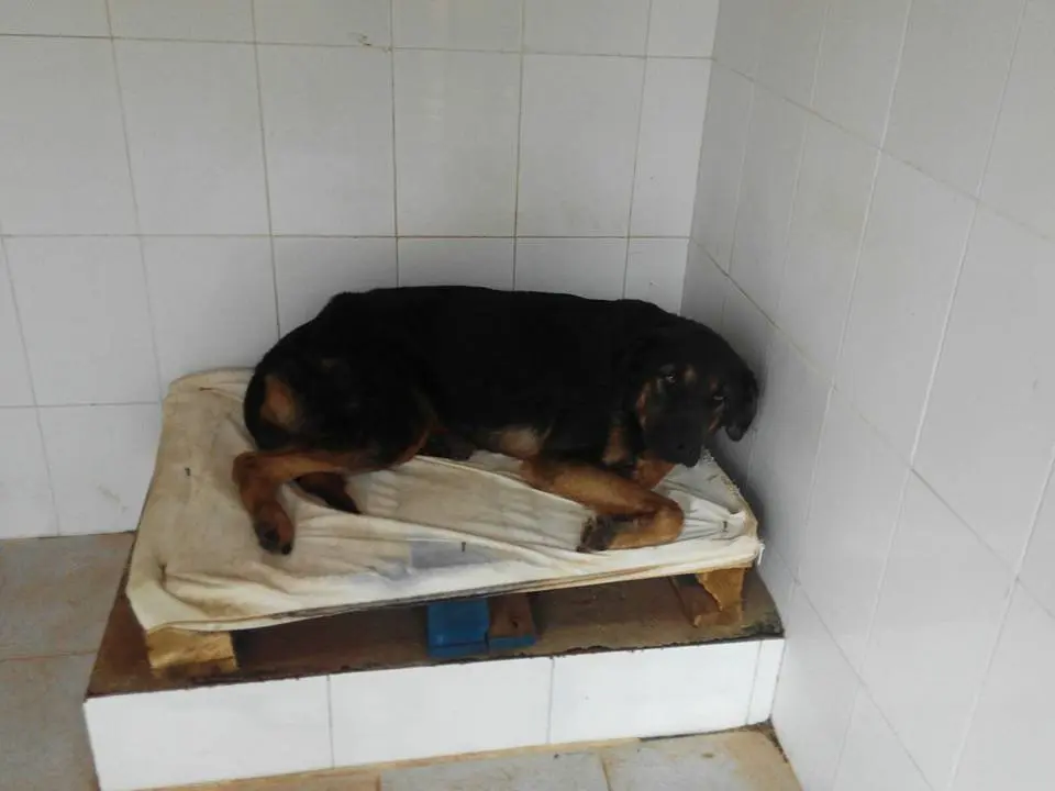 Imagen de Inma Iba&ntilde;ez