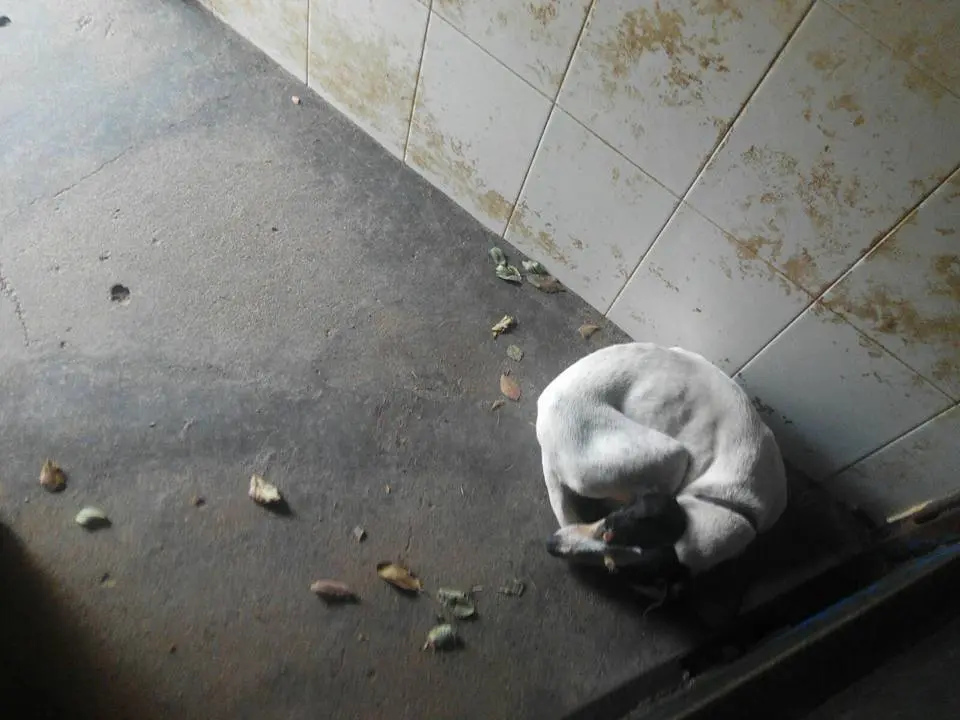 Imagen de Inma Iba&ntilde;ez