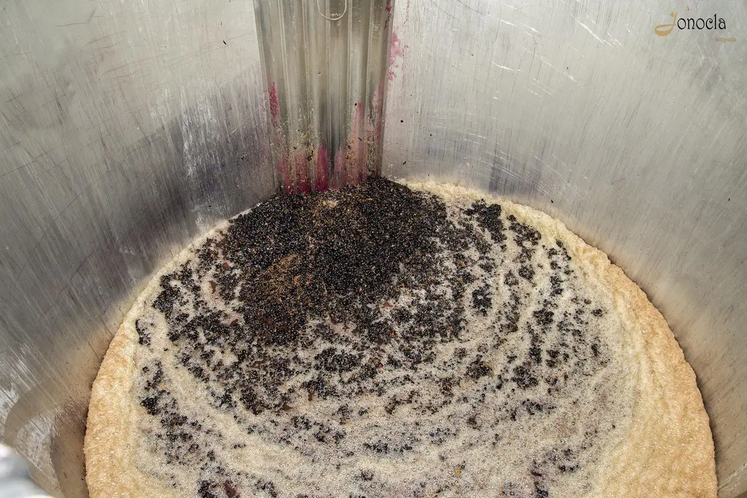 Vendimia en Hacienda Parrilla Alta, San Jos&eacute; del Valle, C&aacute;diz. AGO 2016 | Jonocla Fotograf&iacute;a para grupo MIRA Comunicaci&oacute;n