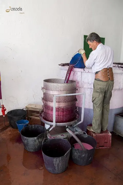 Vendimia en Hacienda Parrilla Alta, San Jos&eacute; del Valle, C&aacute;diz. AGO 2016 | Jonocla Fotograf&iacute;a para grupo MIRA Comunicaci&oacute;n