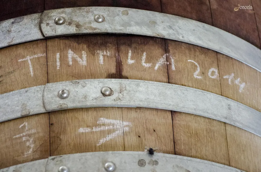 Vendimia en Hacienda Parrilla Alta, San Jos&eacute; del Valle, C&aacute;diz. AGO 2016 | Jonocla Fotograf&iacute;a para grupo MIRA Comunicaci&oacute;n
