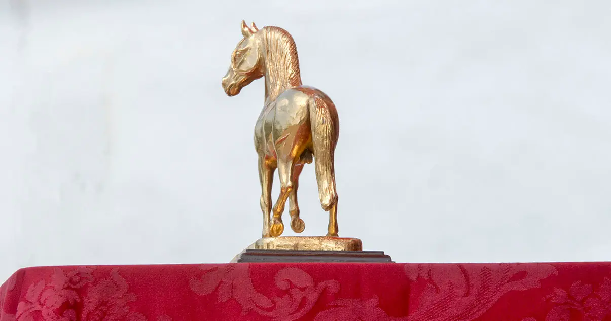 Caballo de Oro | Noelia Herrera, de Jonocla Fotograf&iacute;a, para MIRA Jerez