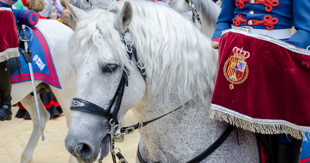 Guardia Real en paseo por el recinto ferial del Parque Gonz&aacute;lez Hontoria de Jerez | Noelia Herrera, de Jonocla Fotograf&iacute;a, para MIRA Jerez