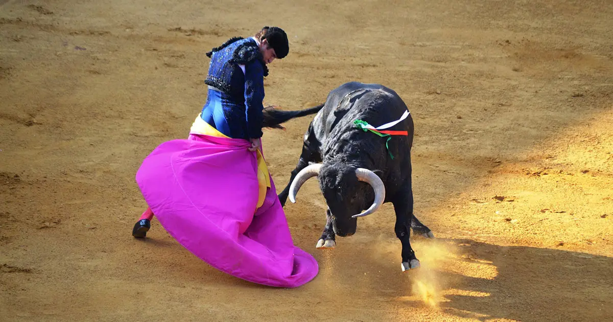 El Juli en acci&oacute;n | M. Bre&ntilde;a