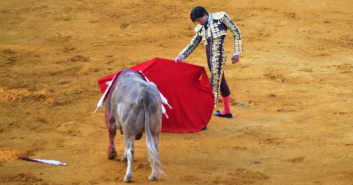 Roca Rey | M. Bre&ntilde;a