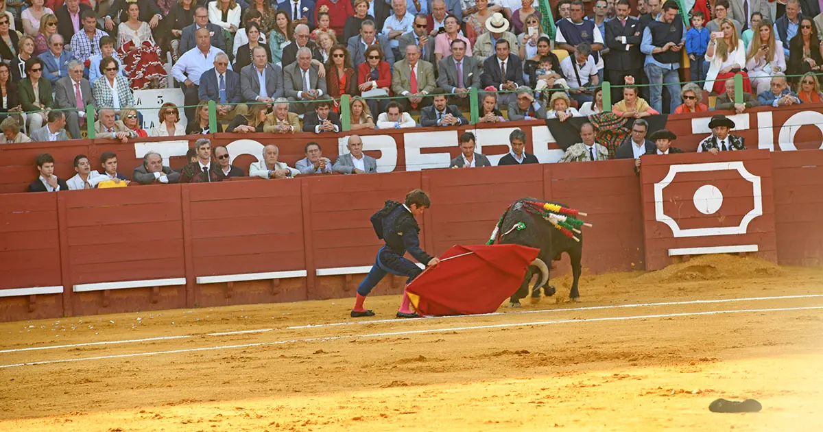 El Juli | Froil&aacute;n Solis