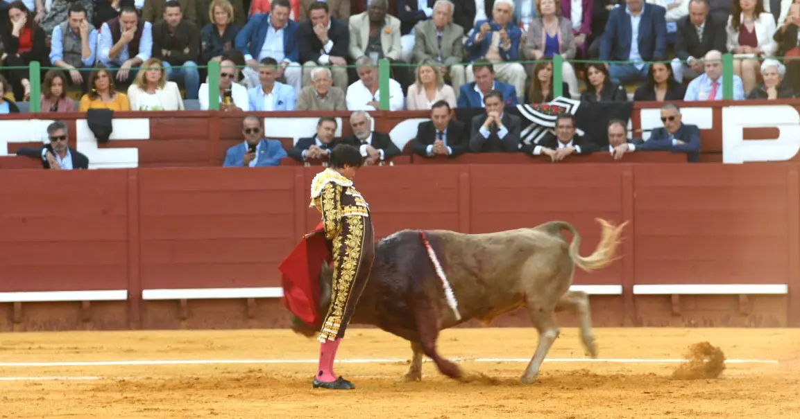 Roca Rey | Froil&aacute;n Solis