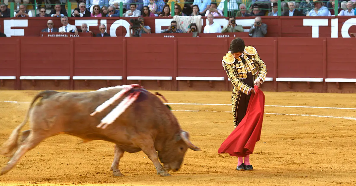 Roca Rey | Froil&aacute;n Solis