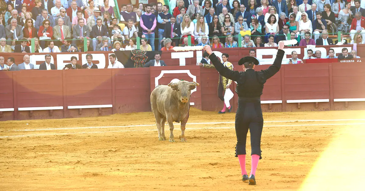 Roca Rey | Froil&aacute;n Solis