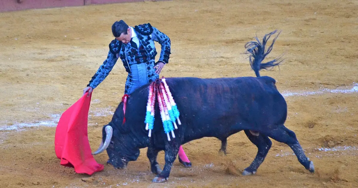 Manzanares en un derechazo - Toros en Jerez - Feria del Caballo 2018 | Marciano Bre&ntilde;a para elMIRA.es