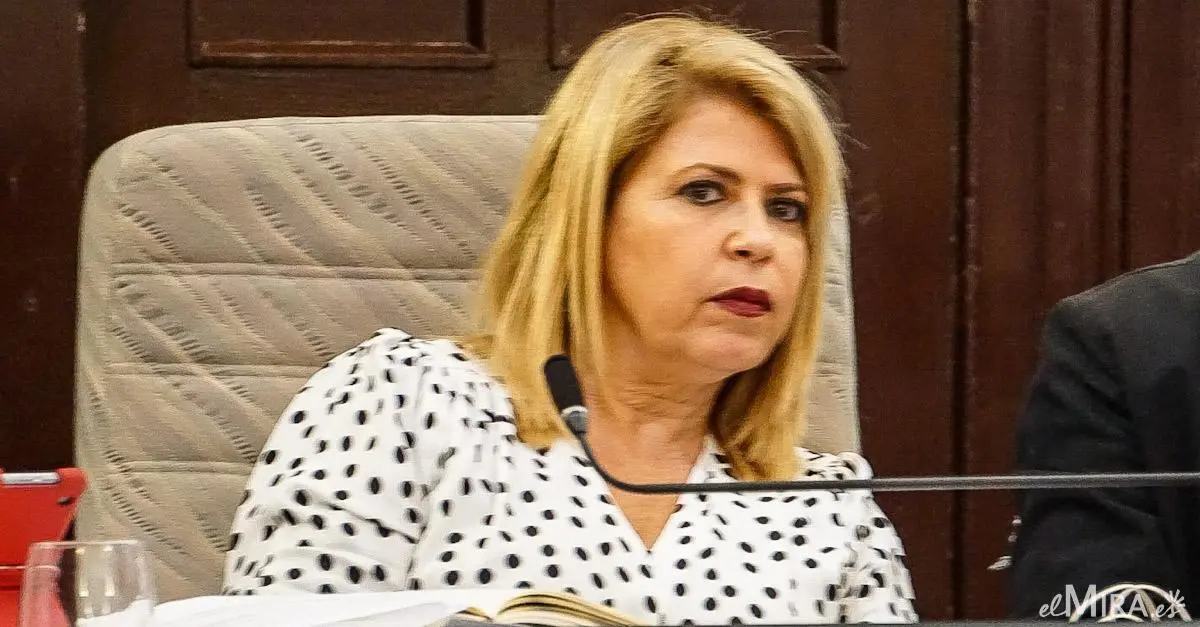 Mamen S&aacute;nchez durante un pleno municipal