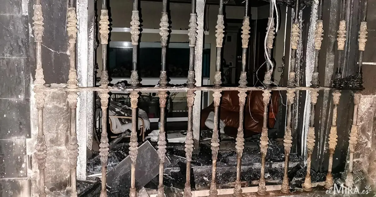 Jes&uacute;s Catal&aacute;n para elMIRA.es