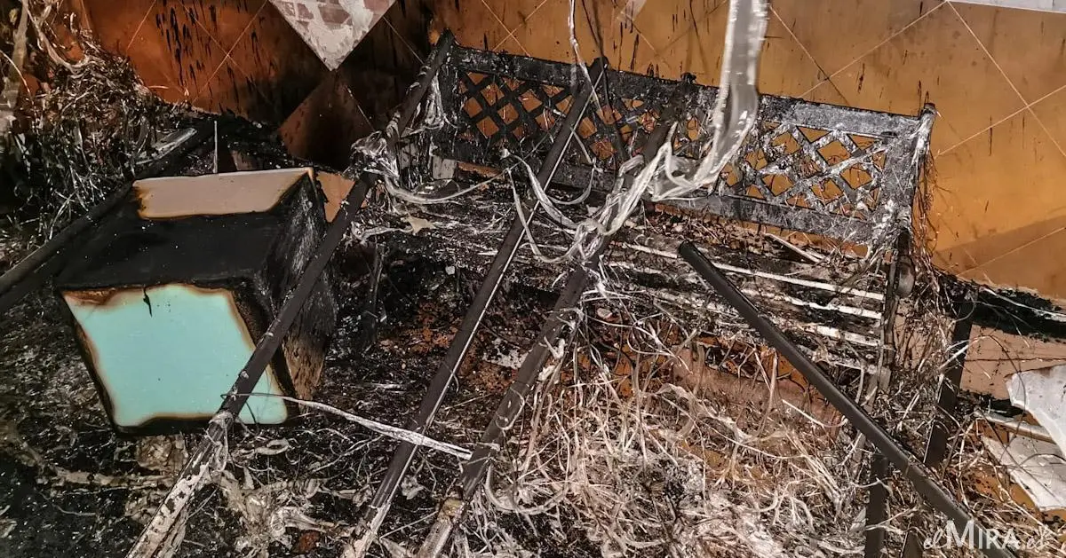 Jes&uacute;s Catal&aacute;n para elMIRA.es