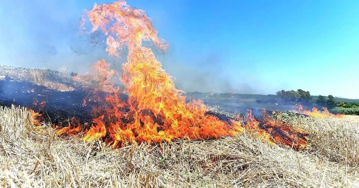 Foto: Jes&uacute;s Catal&aacute;n | ElMira.es