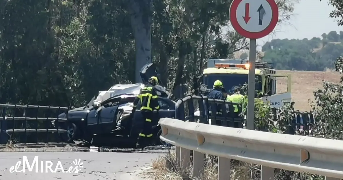 Jes&uacute;s Catal&aacute;n para elMira.es