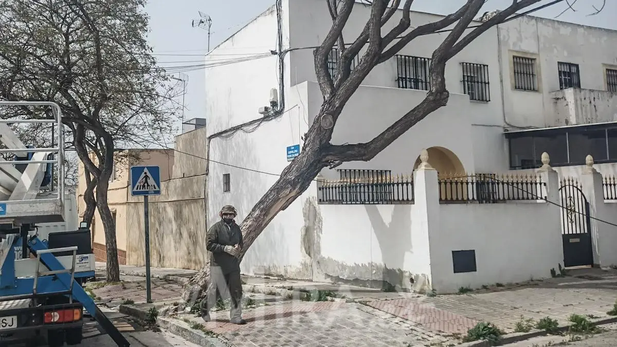 Efectos del Viento en Jerez de la Frontera en Calle Canarias 