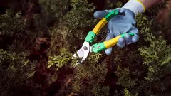 Un hombre ha fallecido mientras podaba un pino en Huelva