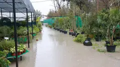 Inundaciones en Jerez