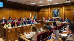 Imagen de la celebraci&oacute;n de un Pleno en la Diputaci&oacute;n de Almer&iacute;a