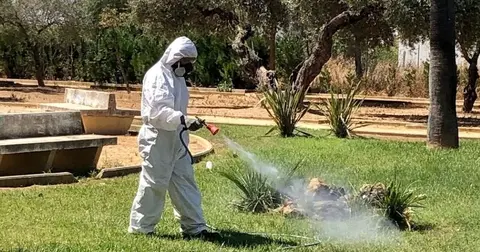 Virus del Nilo Occidental en la provincia de Sevilla