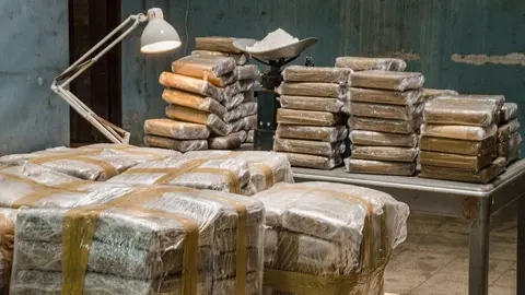 Desmantelan una red de tr&aacute;fico de coca&iacute;na