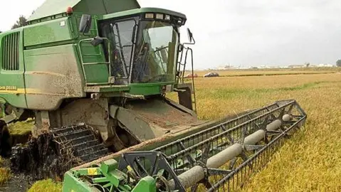 Agricultores de Sevilla