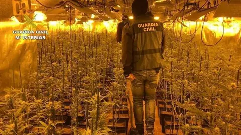 Traficaban con droga desde La L&iacute;nea por Europa