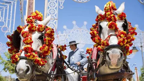 Feria de Jerez | Jonocla Fotograf&iacute;a