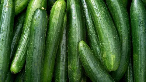 5 mitos del pepino