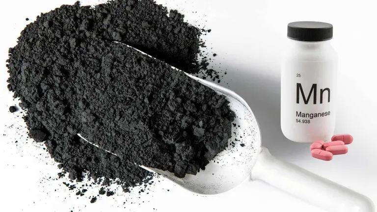 7 alimentos necesarios para tomar Manganeso