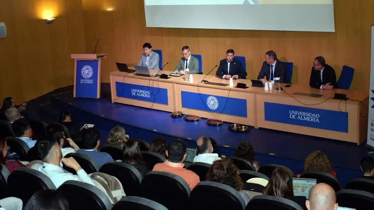 Almer&iacute;a, referente nacional e internacional en energ&iacute;a solar