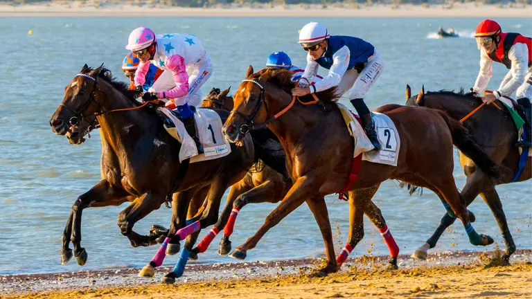 Carreras de Caballos de Sanl&uacute;car