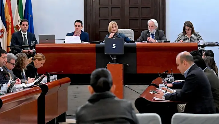 Pleno Municipal del Ayuntamiento de Jerez