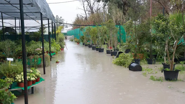 Inundaciones en Jerez