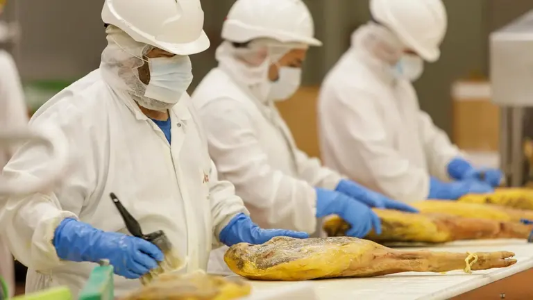 Andaluc&iacute;a ha vuelto a presentar super&aacute;vit en 2025