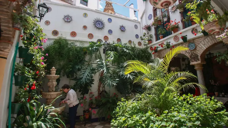 Patios de C&oacute;rdoba