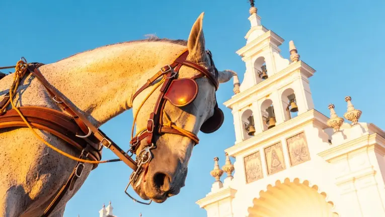 Almonte refuerza el bienestar animal con 15 abrevaderos y 12 zonas de ducha para caballos en El Roc&iacute;o
