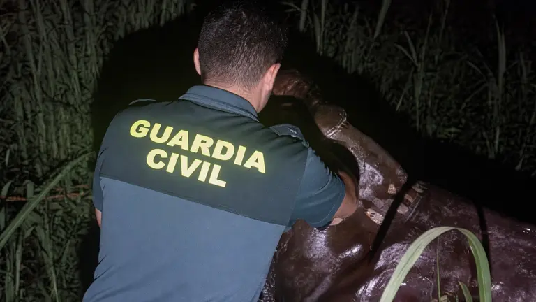La Guardia Civil rescata a un jinete y su caballo atrapados en lodo en El Roc&iacute;o