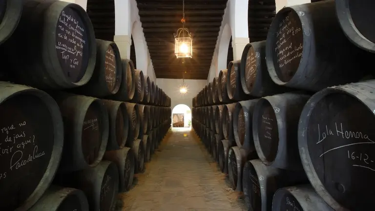 Bodega Gonzalez Byass de Jerez
