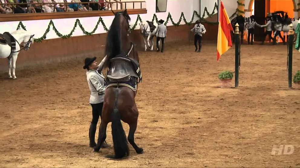 Espect&aacute;culo en la Real Escuela Andaluza del Arte Ecuestre. 